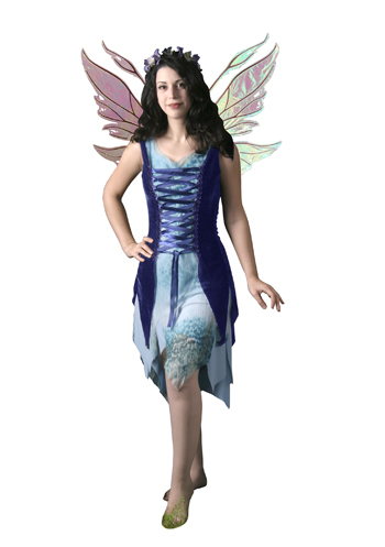 Blue Fairy Adult Costume - Click Image to Close